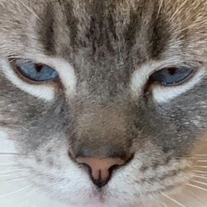 Meet your Posher, Suzanne